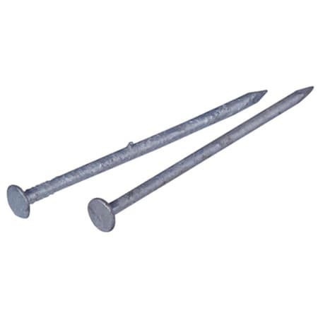 Common Nail, 2 In L, 6D, Steel, Galvanized Finish